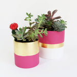 DIY Planters with Jolie Paint and Metal Leaf